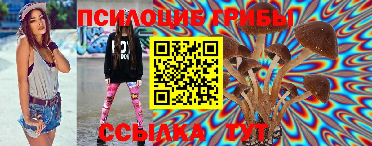 Каменка  Псилоцибиновые грибы мицелий  Вход с VPN 