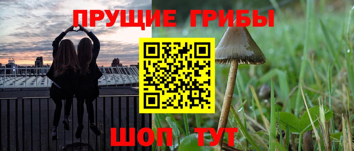 Галлюциногенные грибы GOLDEN TEACHER Каменка